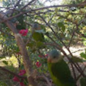 Meet your Posher, Rouse